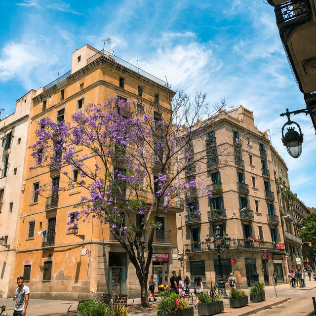 Wandering Around the Streets of Barcelona 🇪🇸