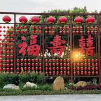 Escape the hustle and recharge at Binhu Forest Park!