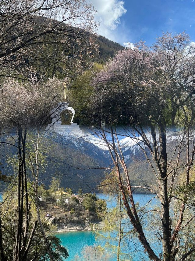 大自然不需要濾鏡