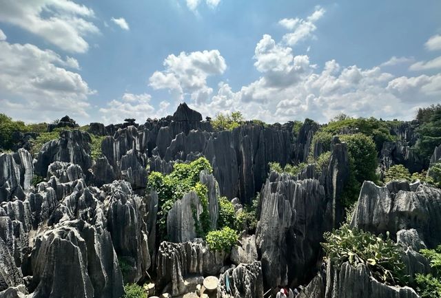 昆明石林：漫步石海，感受億年地質的奇妙之旅！