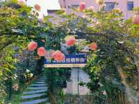 黃山民宿|花園院子 花園餐廳|戶外泳池