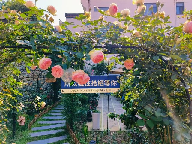 黃山民宿|花園院子 花園餐廳|戶外泳池