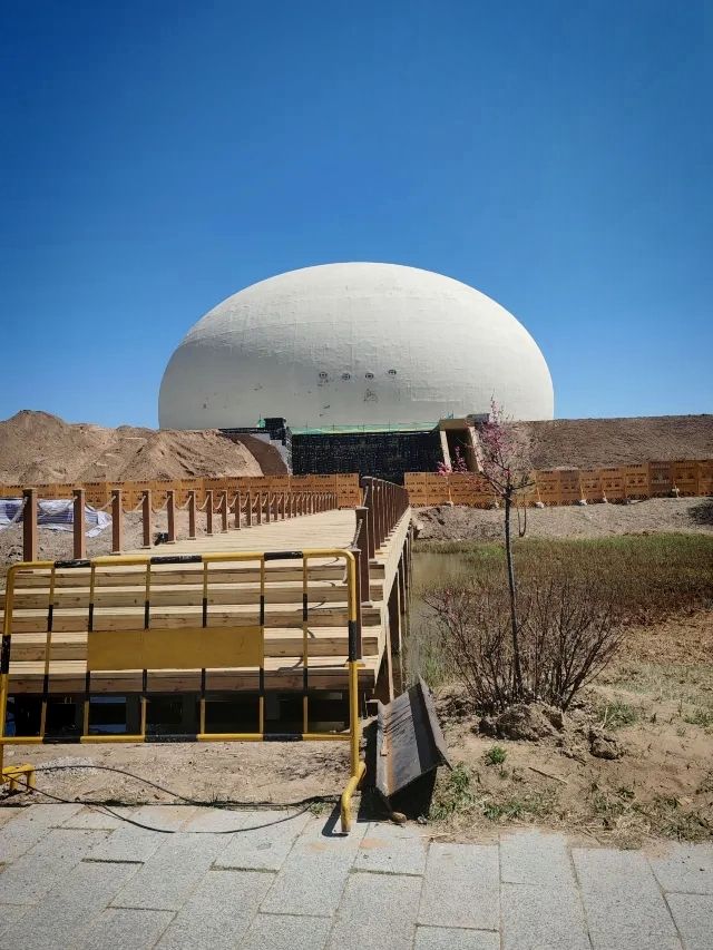 扎龍生態旅遊區‖丹頂鶴棲息濕地