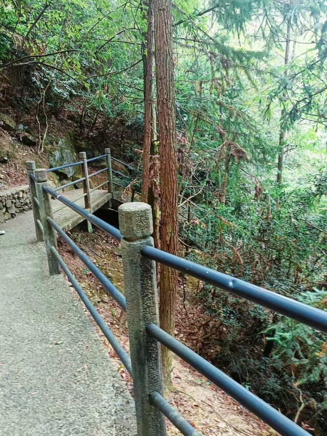 去有靈氣的山裡看到了螢火蟲