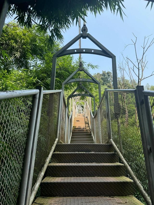 成都周邊川西竹海一日遊攻略