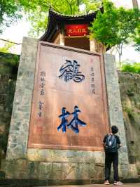 比起青城山，我更愛成都這個小眾徒步地