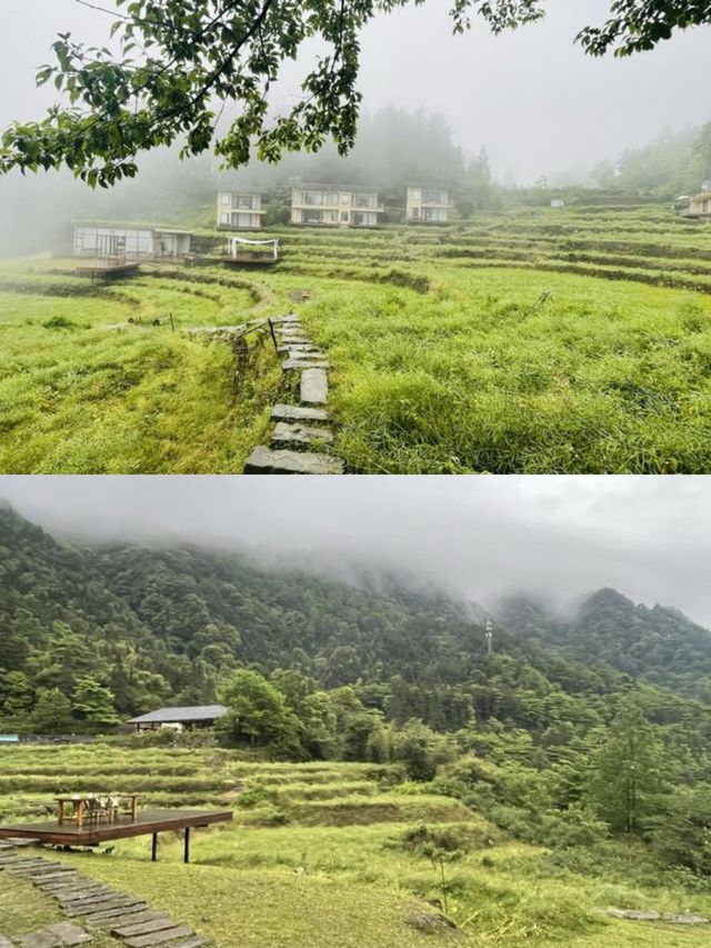 隱匿於重慶墊江的山頂雲霧民宿|飛茑集