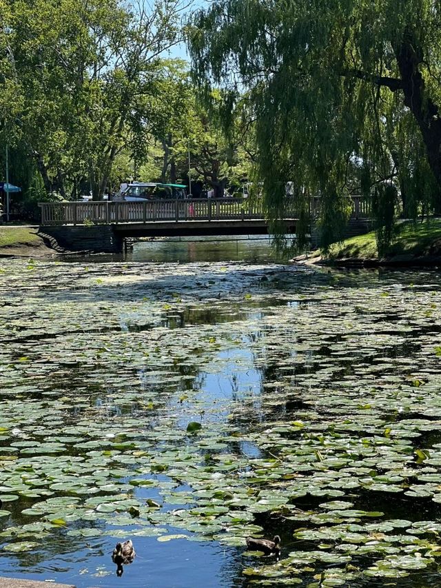Centerville Amusement Park is in  Toronto❤️