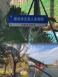 "益陽，湘中瑰寶，三日遊不盡的詩意與美味，等你來探尋！"。