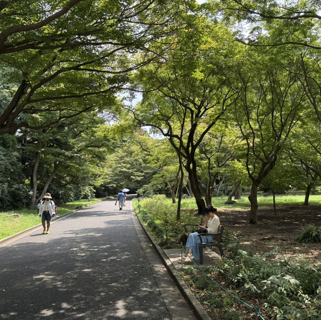 【東京旅行】新宿御苑-庭園寧靜時光与霓虹繁華景