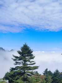 太白山|國慶出遊來太白山看慕容雲海。