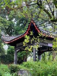 大冶上馮九古奇村 今天又發現了武漢周邊一處隱秘的村落，一整座村莊三面環山，古木參天，在這裡隨處可以見。