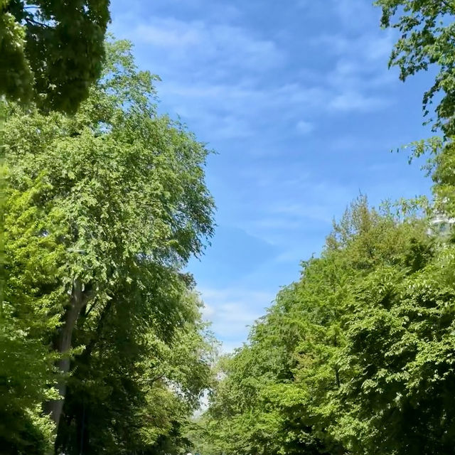 Central park Tour New york
