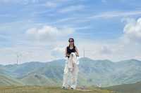 邵陽南山牧場已回，能勸一個是一個。