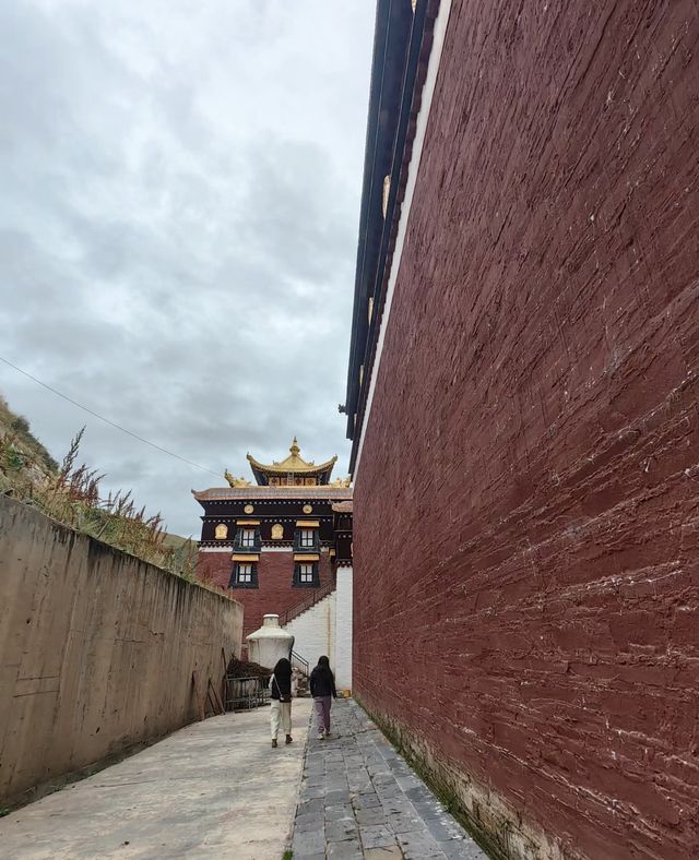 海拔3,780米。