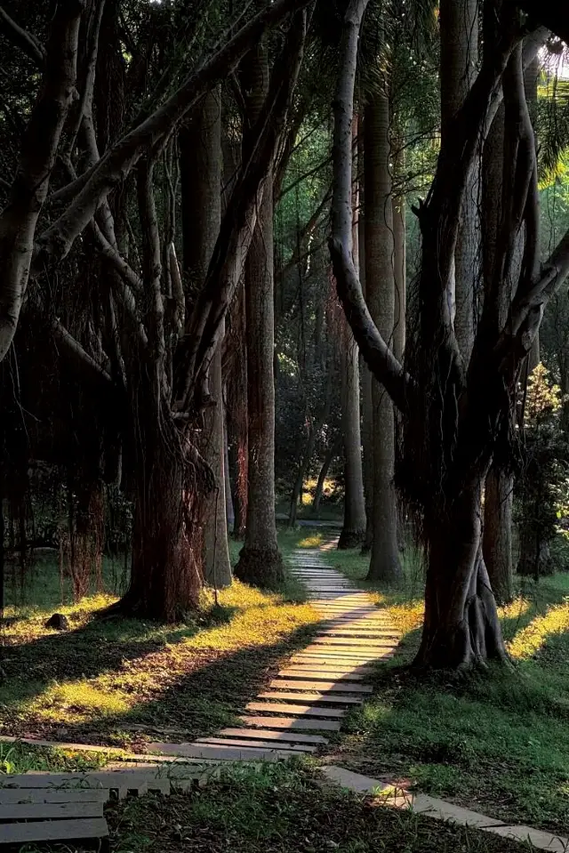 전주 숲 공원 | 관광 추천