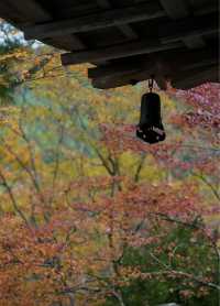 名古屋周邊｜上高地封山也能進噢。