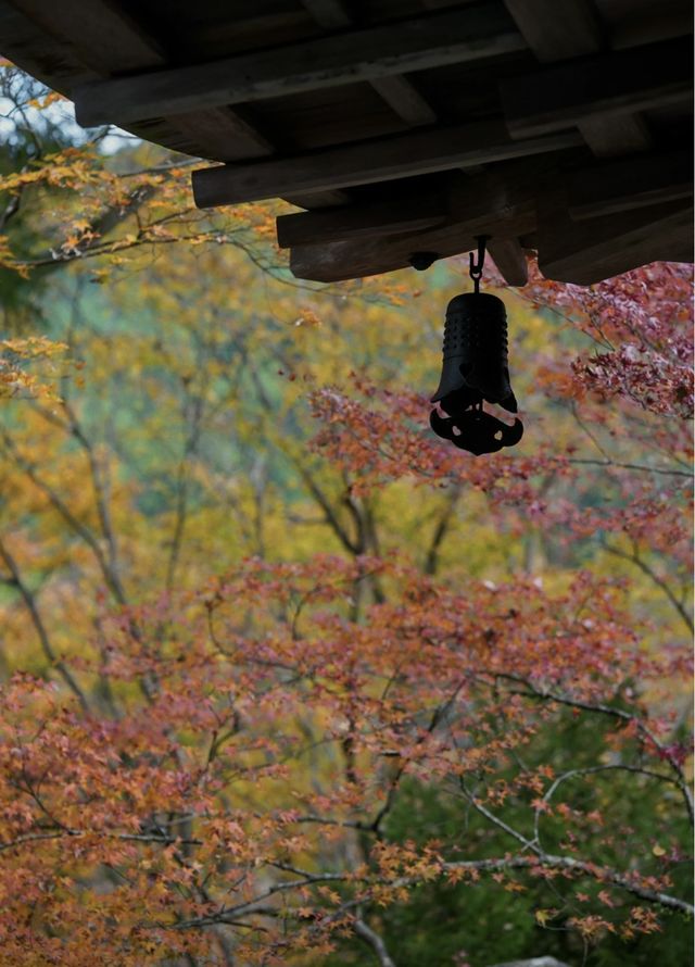 名古屋周邊｜上高地封山也能進噢。