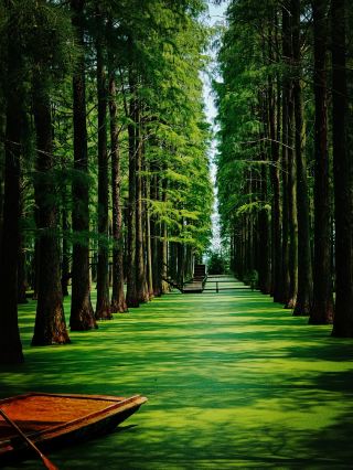 In Yangzhou, you can enter the ocean of the Wizard of Oz. 