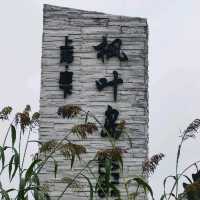 【楓葉島探秘】秋日童話世界，極致美景