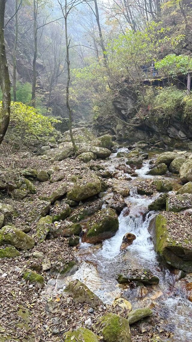 週末爬山太平國家森林公園。