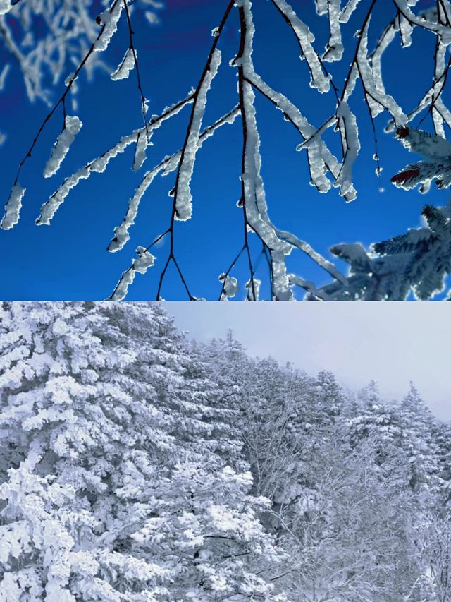 吉林北大湖滑雪‖拍照打卡攻略。