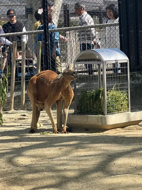 Nagoya Higashiyama Zoo and Botanical Gardens