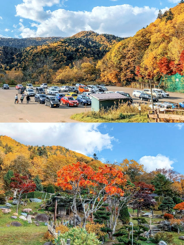 札幌賞楓圖鑑：豐平峽溫泉。