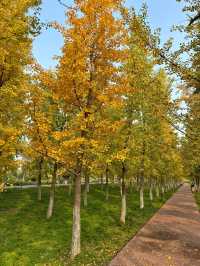 漢長安城遺址公園|規模宏大。