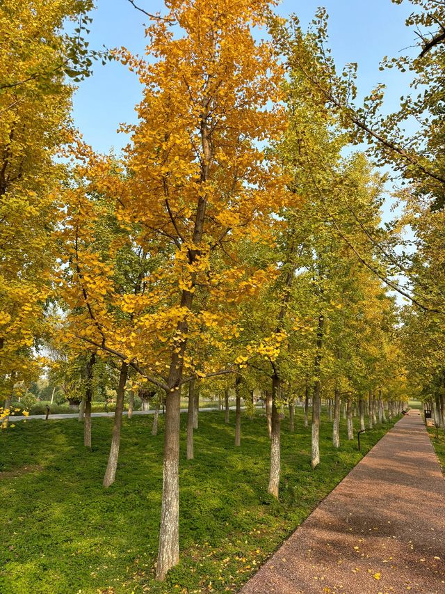 漢長安城遺址公園|規模宏大。 漢長安城遺址公園|規模宏大。