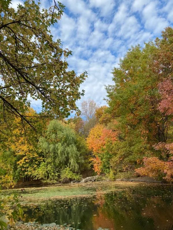 Autumn is the most beautiful season!! 