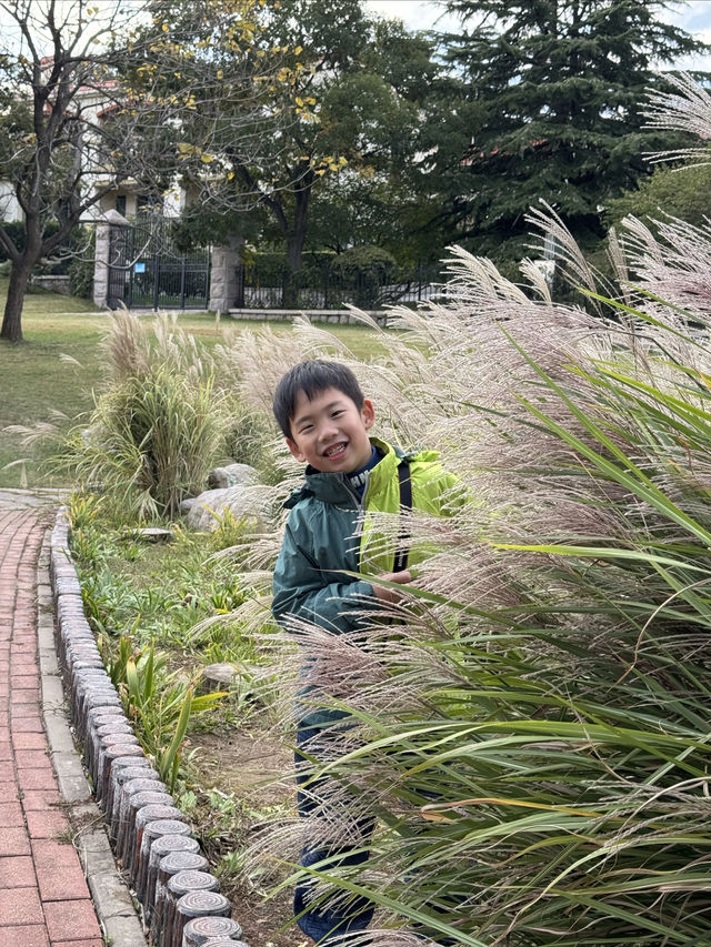 每年總要來打卡好幾次百花苑的！