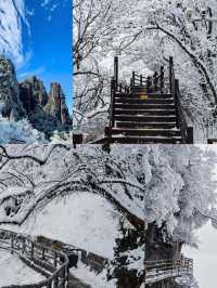 被朋友罵瘋了為了霧凇雪景去了趟郴州。