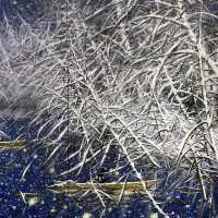 冷酷仙境,極地孤行