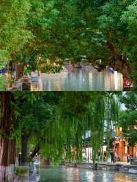 上海城市漫步。