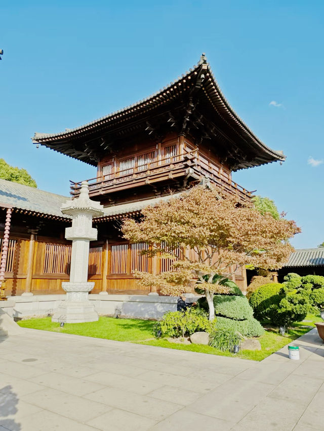 禪意深處，尋覓內心的寧靜。