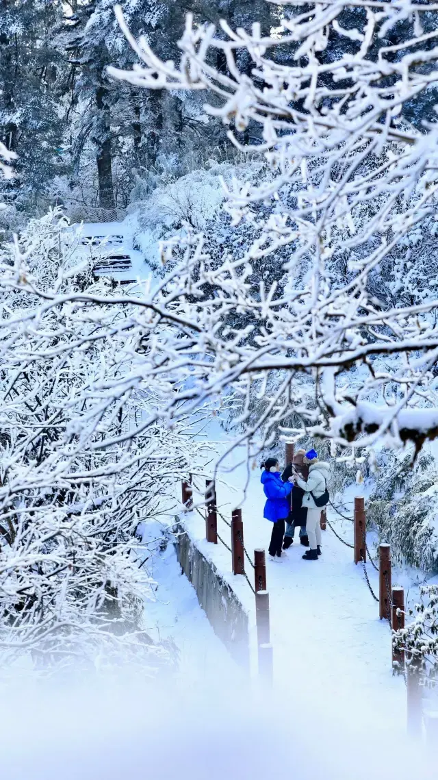 Chengdu Surroundings | Southern potatoes see snow on Mount Wawu, it's beautiful. 