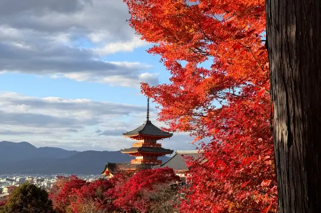 Kyoto｜Cảnh đẹp của lá đỏ và thác nước ở chùa Kiyomizu