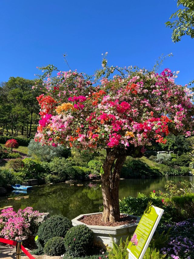 廣州白雲山旅遊攻略