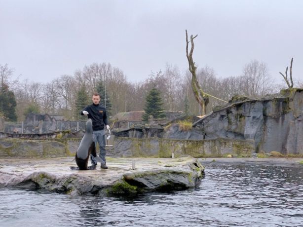 Saarbrücken: Zoo
