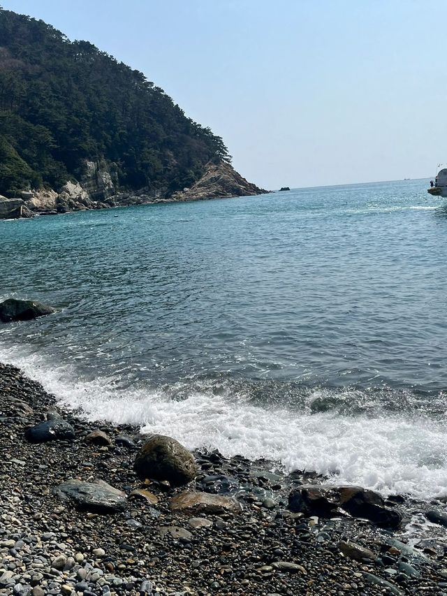 韓國釜山自由行 人均4k不踩雷
