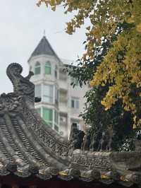 紅牆綠瓦故宮風—鄭州文廟