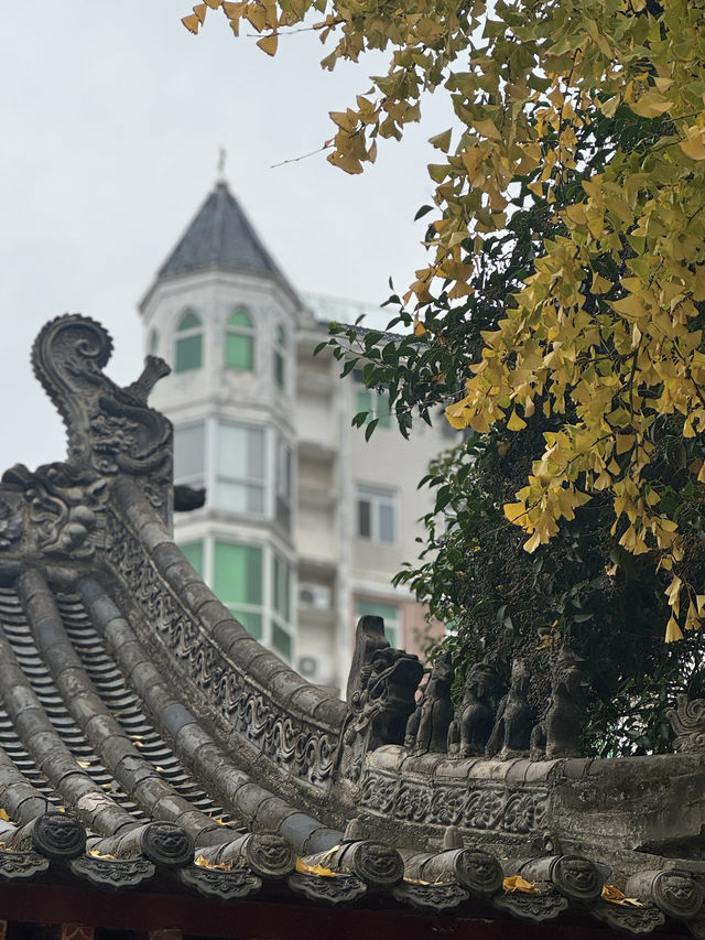 紅牆綠瓦故宮風—鄭州文廟
