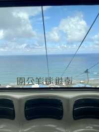 海洋奇遇：遠雄海洋公園與台北的自然與文化之旅