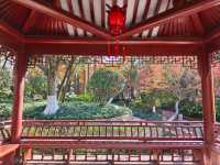 今年來晚了 紅園 可你還是那麼美