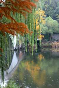 別去江南了，來重慶！我唯一想去無數次的公園