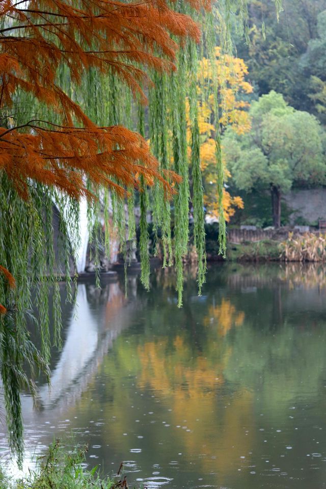 別去江南了，來重慶！我唯一想去無數次的公園