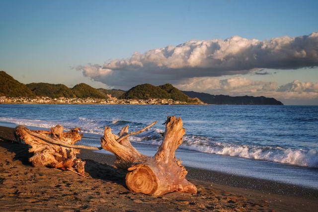 鴨川海岸｜2025年，來千葉的海，衝浪吧！