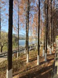 臨滄市玉龍湖公園