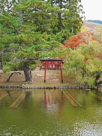 日本跨年8日遊 玩嗨不重樣